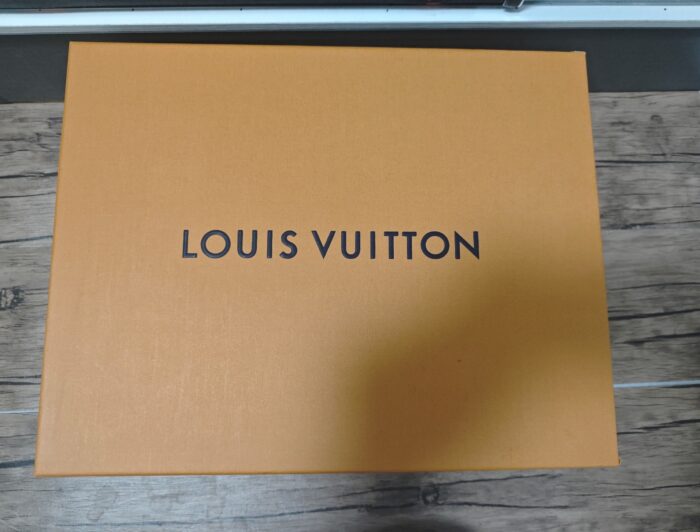 Louis Vuitton LV Skate Sneaker 'Gray'