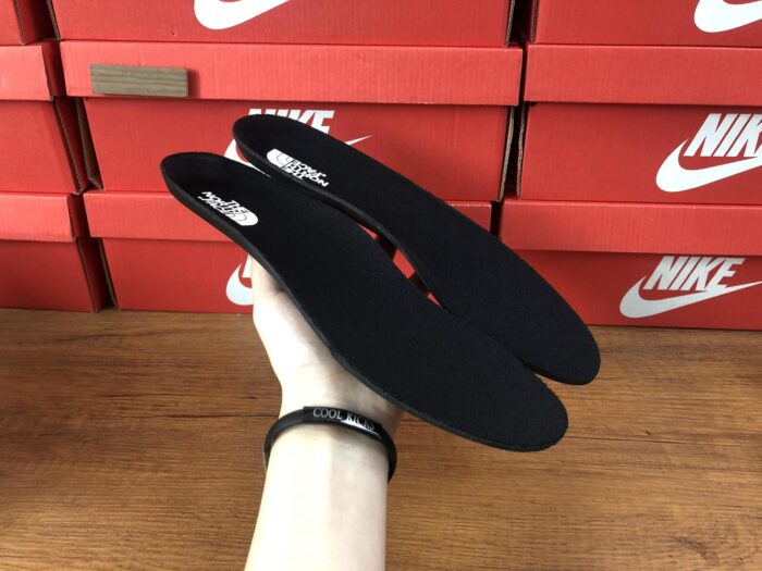 North Face M Altamesa 300 'Black'